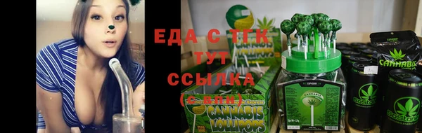ПСИЛОЦИБИНОВЫЕ ГРИБЫ Вяземский