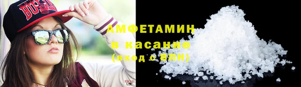 ПСИЛОЦИБИНОВЫЕ ГРИБЫ Вяземский
