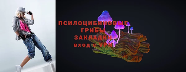 ПСИЛОЦИБИНОВЫЕ ГРИБЫ Вяземский