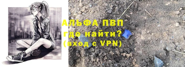 ПСИЛОЦИБИНОВЫЕ ГРИБЫ Вяземский