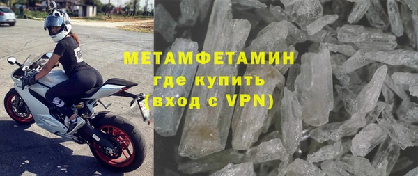 ПСИЛОЦИБИНОВЫЕ ГРИБЫ Вяземский