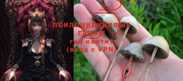 ПСИЛОЦИБИНОВЫЕ ГРИБЫ Вяземский